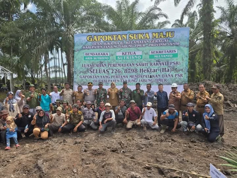 Panglima Kogabwilhan I Didampingi Bupati Melakukan Peremajaan Lahan Sawit Bersama Kelompok Tani Suka Maju dan Tanjung Jabung, Jambi - TajamNews