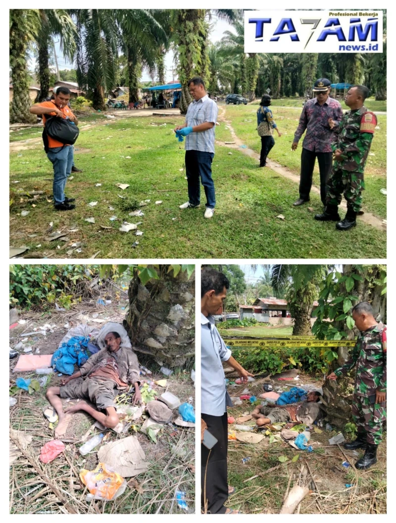 Geger! Jenazah Mr. X Ditemukan Di Areal Perkebunan PTPN4 Bahjambi. - www.tajamnews.co.id