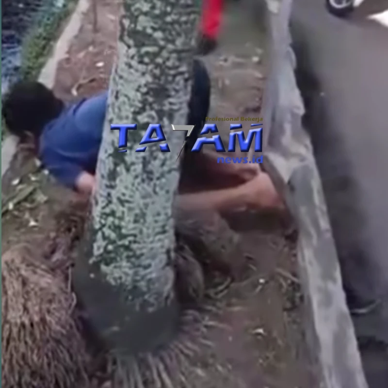 Di Duga kenaSerangan Jantung, Warga Jalan Jambu V, Meninggal di Trotoar Jalan Asahan - TajamNews