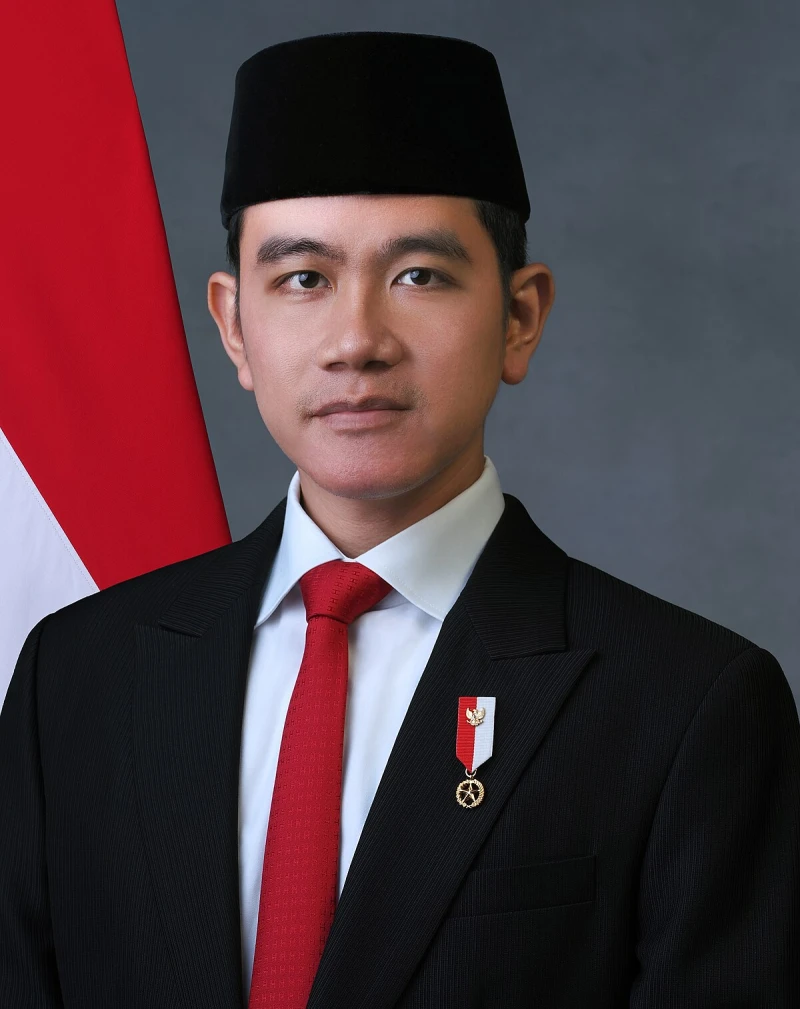 LHKPN Terbaru Wapres Gibran, Berikut Daftarnya - TajamNews