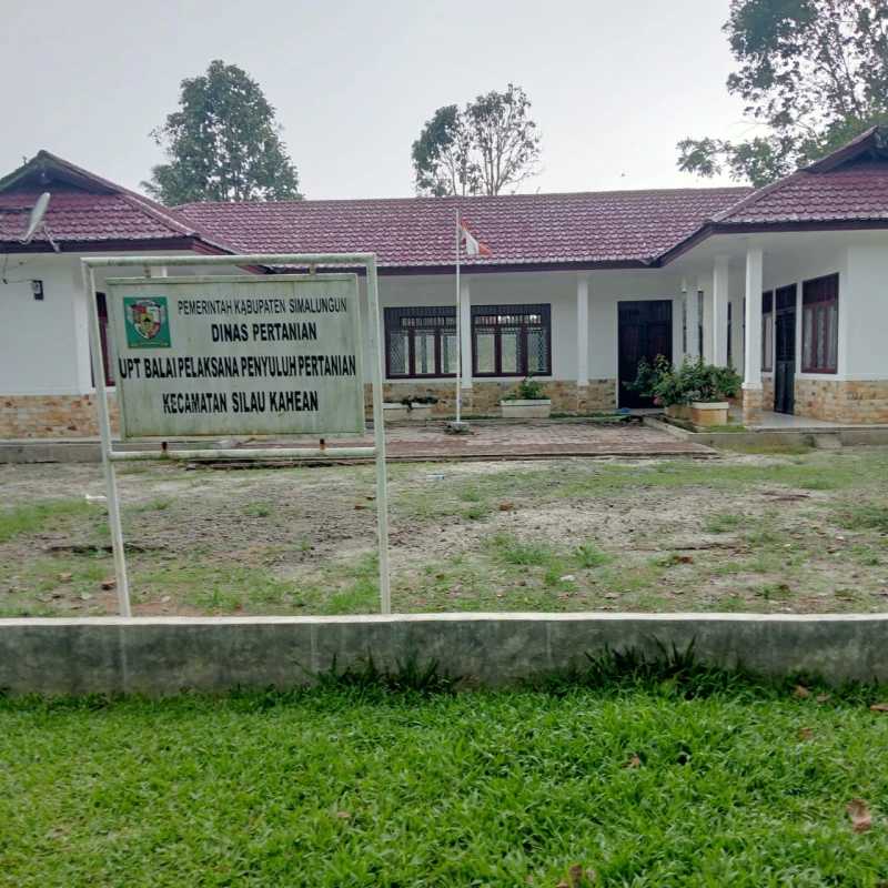 Kepala Pertanian Silou Kahean Bongkar Data Gapoktan yang Tidak Beres - www.tajamnews.co.id
