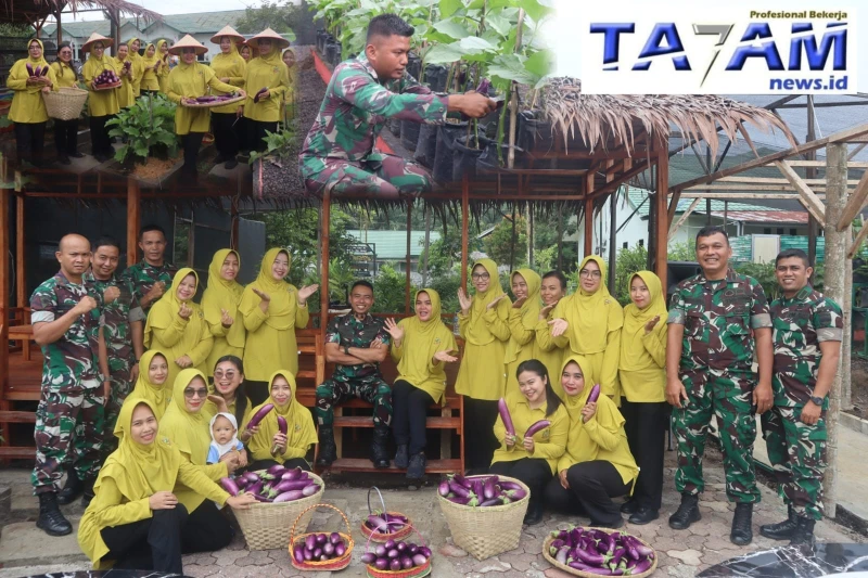 Inovatif Pemanfaatan Lahan! Yonif 122/TS dan Persit Panen Hasil Kebun Modern Dan Toga Yonif 122/TS - www.tajamnews.co.id