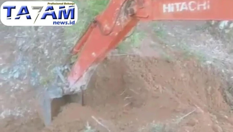 Jalan Usaha Tani Dikorbankan: Jejak Pengerukan Batas PTPN IV Pelumpuh Petani Galang - TajamNews