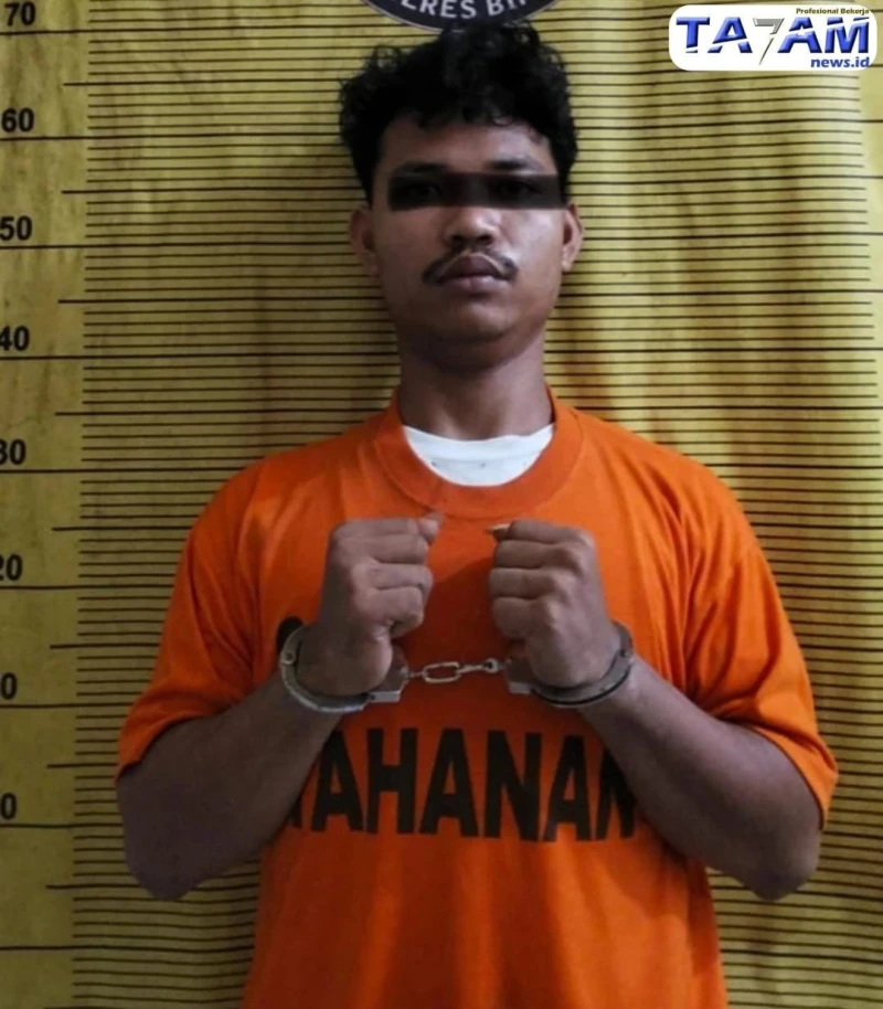 Modus Baru Pengedar Sabu di Binjai: Simpan Barang Haram Dalam Bola Lampu agar aksinya lancar - www.tajamnews.co.id