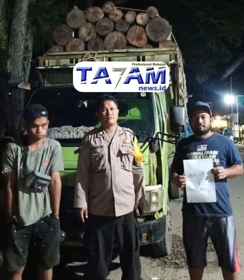 Warga Serahkan Truk Kayu Ilegal: Polisi Diminta Usut Jaringan Penebang Liar - www.tajamnews.co.id