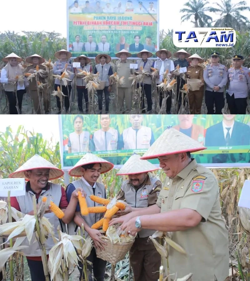 Food Estate Asahan: Membedah Strategi dan Tantangan Mewujudkan Kemandirian Pangan Daerah - www.tajamnews.co.id