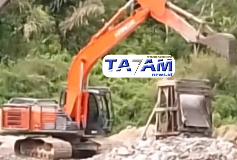 Mafia Tambang Emas di Kota Nopan: Warga Menanti Tindakan Tegas Kapolda Sumut - www.tajamnews.co.id