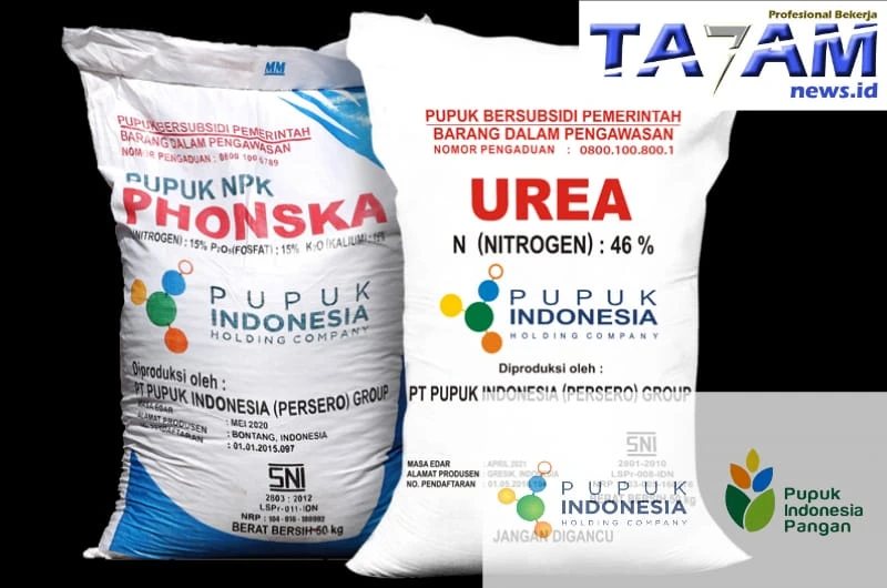 Kontroversi : Harga Pupuk Subsidi Turun, Pemilik Kios Meringis. KP3 Dan Kejati Sumut Diduga Tutup Mata. - www.tajamnews.co.id