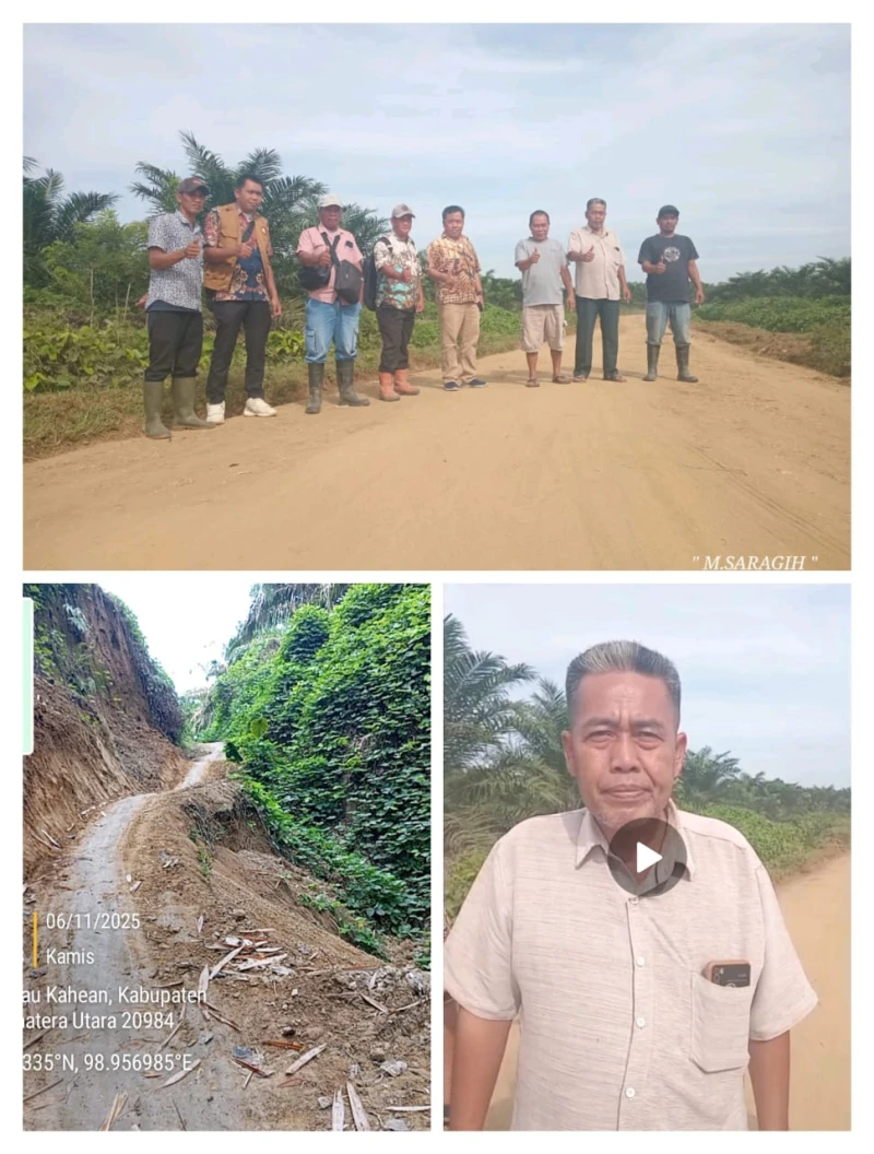 Reaksi cepat : Management PT PN IV Regional 1 Kebun Silau Dunia Tinjau Jalan Warga Yang Akan Diperbaiki - www.tajamnews.co.id