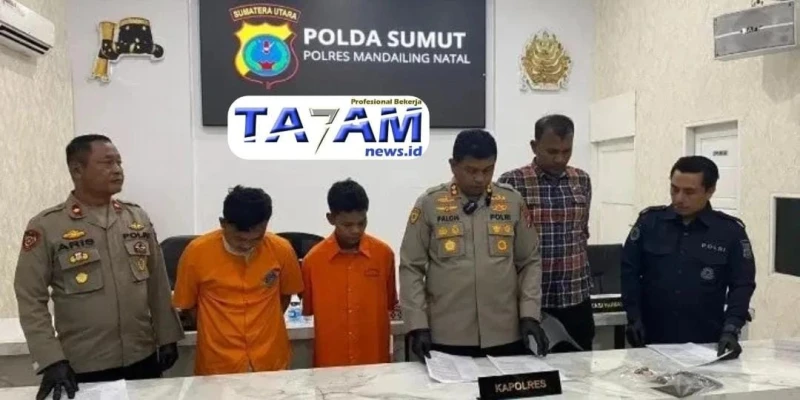 ASN PPPK Dinas PPKB Mandailing Natal Diberhentikan Secara Tidak Hormat atas Kasus Pemerkosaan Anak Dibawah Umur - www.tajamnews.co.id