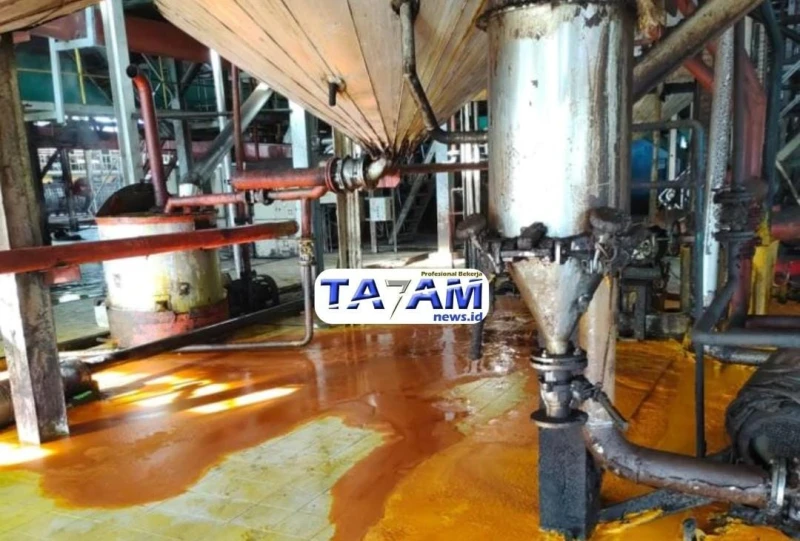 PTPN IV Adolina Berikan Penjelasan Terkait Tumpahan 4 Ton Minyak Sawit Pencemar Parit - www.tajamnews.co.id
