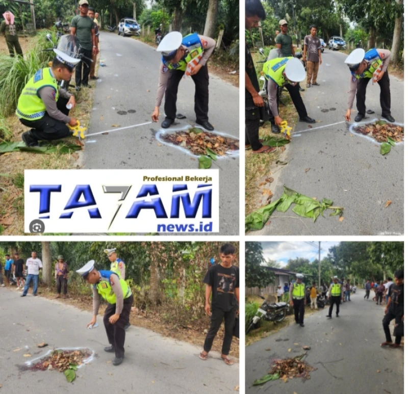 Kanit Gakkum Sat Lantas Polres Simalungun Tangani Laka Lantas Maut: Pengendara Motor Tewas Tergilas Truk Saat Menyalip - www.tajamnews.co.id