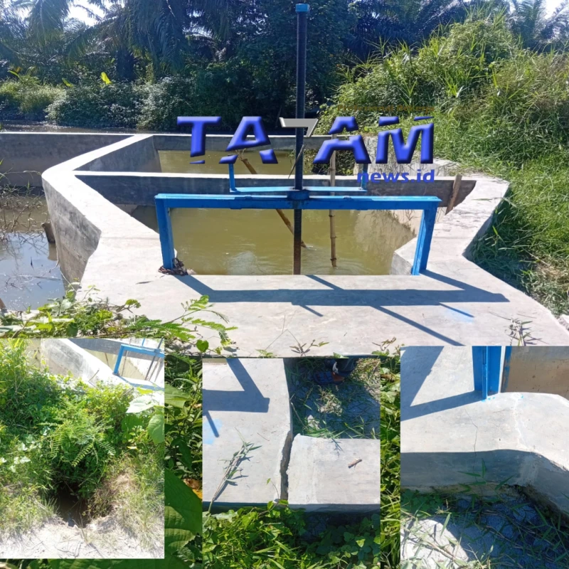 WARGA MENGAKU SUDAH MELAPOR KE BUPATI, NAMUN BELUM ADA TINDAKAN DINAS TERKAIT - TajamNews