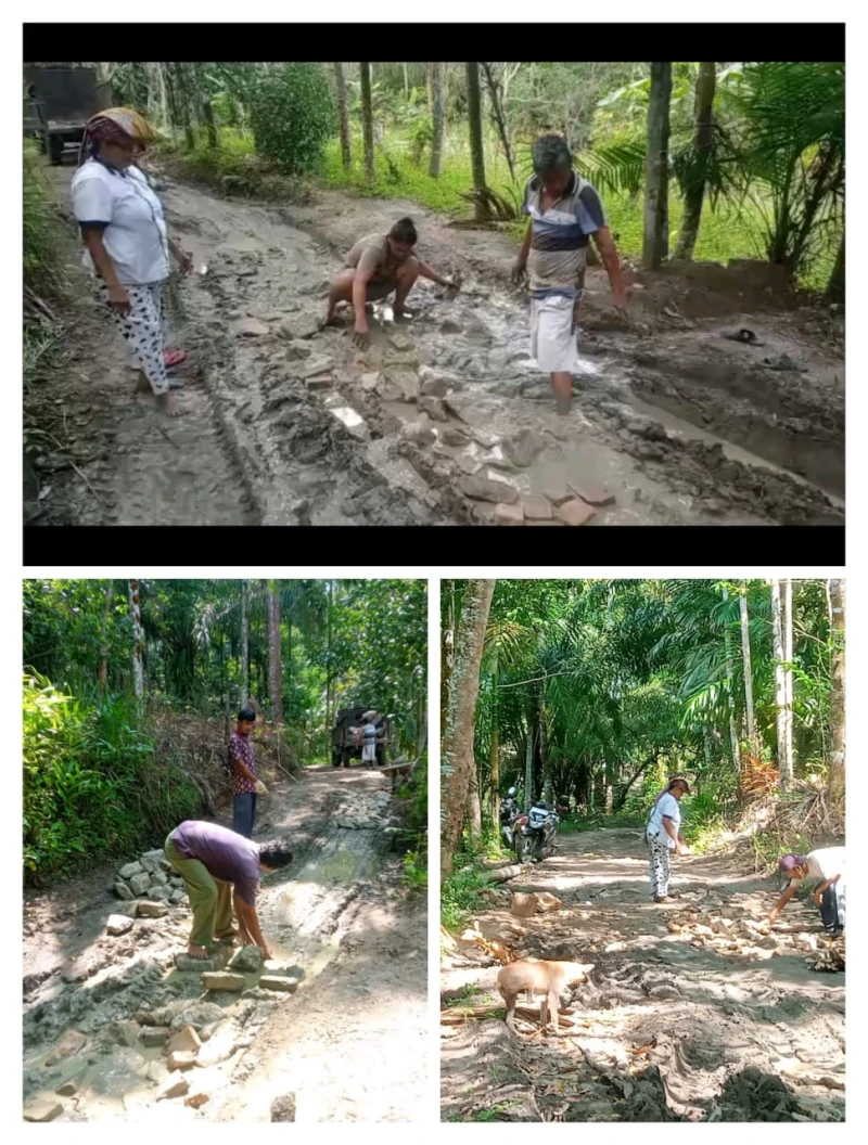 *Warga Dusun Siarbat Kompak Gotong Royong Timbun Jalan Berlumpur Demi Kelancaran Hasil Pertanian* - TajamNews