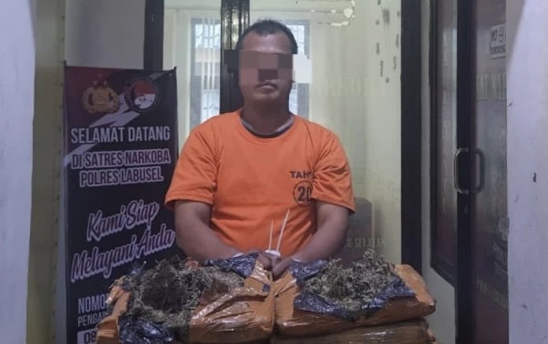 Kejar-kejaran Dramatis di Kota Pinang: Satresnarkoba Polres Labusel Gagalkan Penyelundupan 26 Kg Ganja - www.tajamnews.co.id