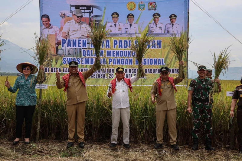 Wagub Sumut H Surya Tegaskan Pemerintah Tidak Biarkan Petani Berjalan Sendiri pada Panen Raya Padi di Kabupaten Karo - www.tajamnews.co.id