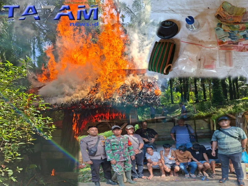 Kp. Korem Gempar : Sat Narkoba Polres SML Ubrak-Abrik Gubuk Narkoba, BB 99 Gram Sabu. - www.tajamnews.co.id