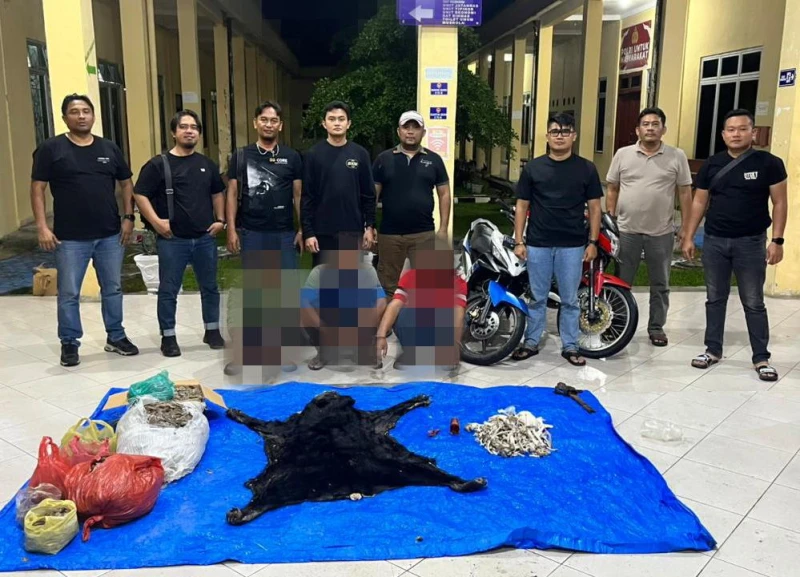 Gerak Cepat Unit Reskrim Polres Simalungun Bongkar Jaringan Perdagangan Bagian Tubuh Satwa Dilindungi, Tiga Pelaku Dibekuk di Pintu Tol Simpang Panei - TajamNews