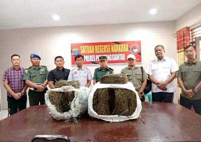47,20 Kg Daun Ganja Tak Bertuan Ditemukan di Lingkungan Universitas Simalungun - www.tajamnews.co.id