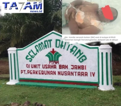 Sudah Di BAP Polisi : Pelaku Dugaan Pembunuhan Di PTPN4 Bahjambi Masih Berkeliaran. Pukulan Mendalam Bagi Keluarga! - www.tajamnews.co.id