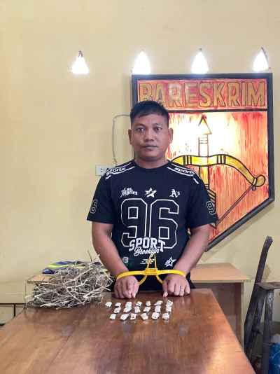 Operasi Senyap Polsek Bosar Maligas: Tangkap Pengedar Narkotika dengan 19 Paket Ganja Siap Edar - www.tajamnews.co.id